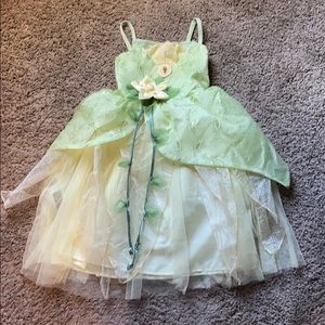 Disney parka authentic Tiana dress